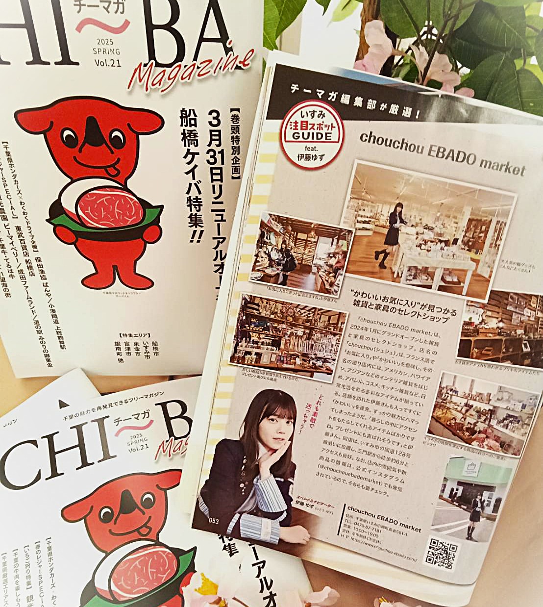 CHI～BA magazine