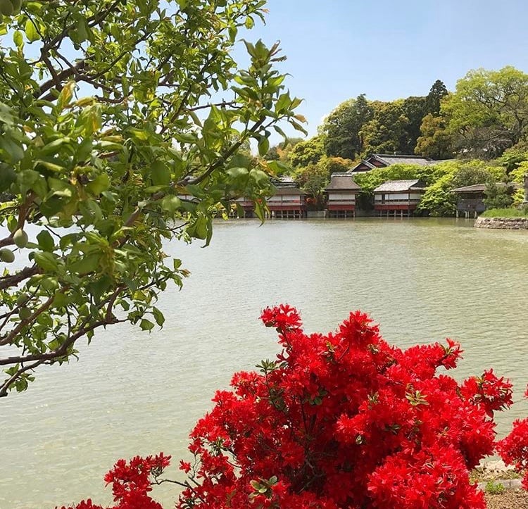 京都市下京区の心療内科、女医のいるメンタルクリニック、川辺のつつじ