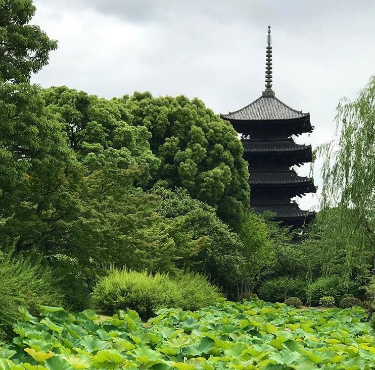 京都市下京区四条烏丸の心療内科、女医のいるメンタルクリニック、オンライン診療、マインドフルネス