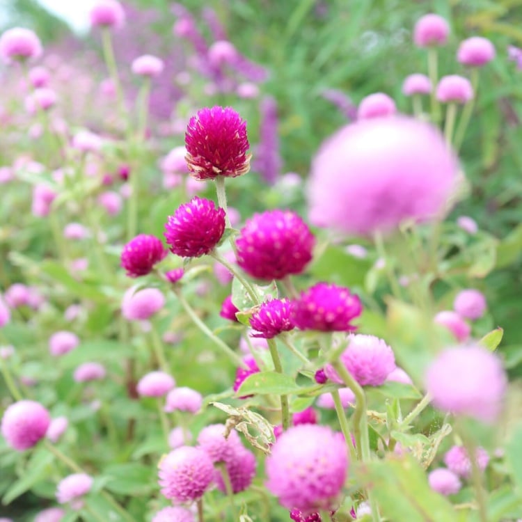 京都市下京区四条烏丸にある心療内科では、プライバシーに配慮し、番号でご案内しています、