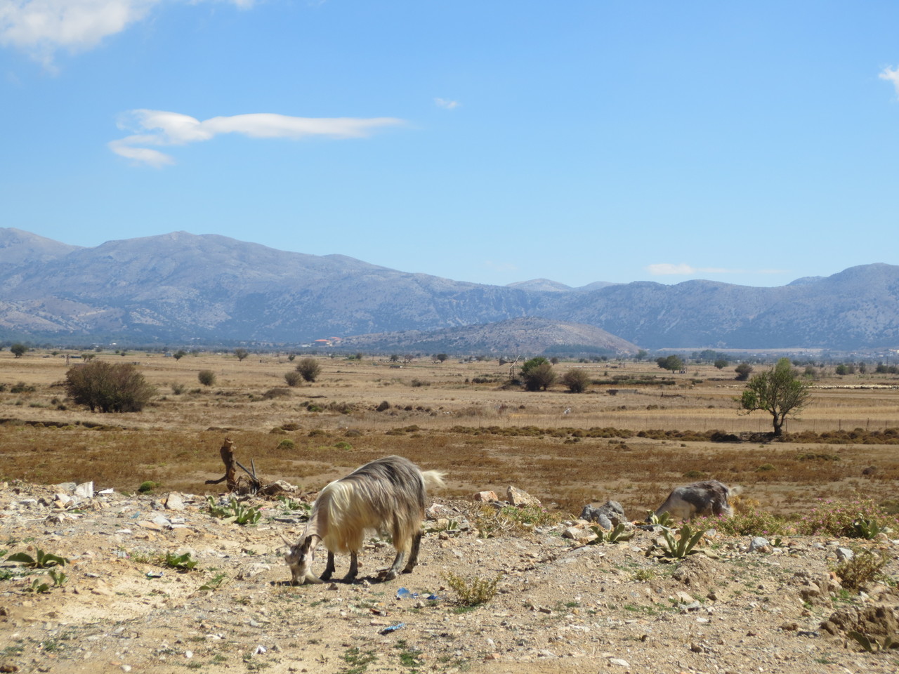 Zentrales Kreta, im Landesinnern...; Blick auf die Lassithi Hochebene