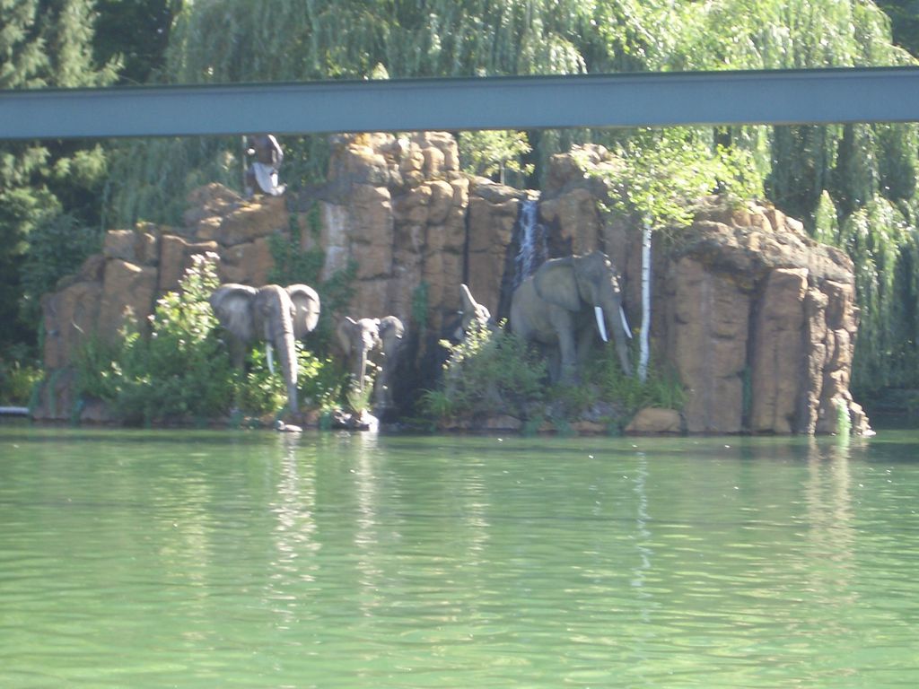 Dschungel-Flossfahrt