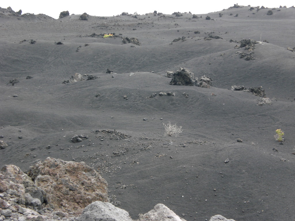 Südspitze der Insel. Letzter Ausbruch des Vulkans Teneguia war 1971. Glühende Lavaströme wälzten sich ins Meer und begruben fruchtbare Felder unter sich.