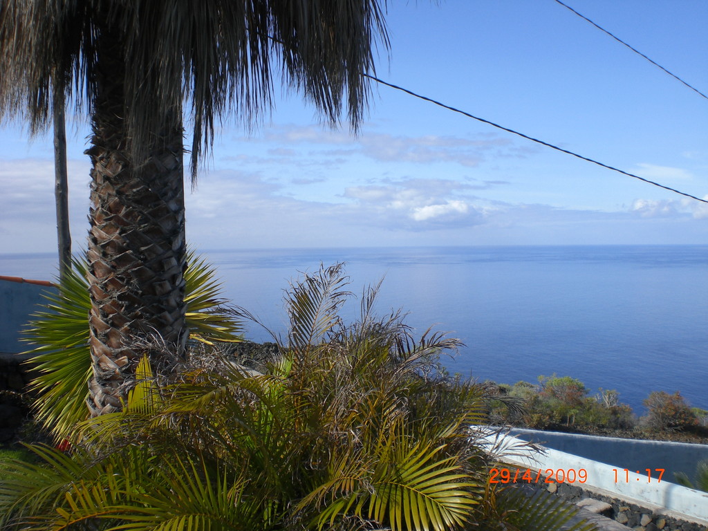 Garten Bungalow (Blick in Süd-Südwestlicher Richtung)