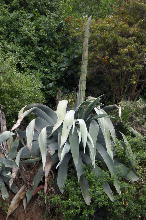 Impressionen von der Rückreise entlang der Ostküste der Insel