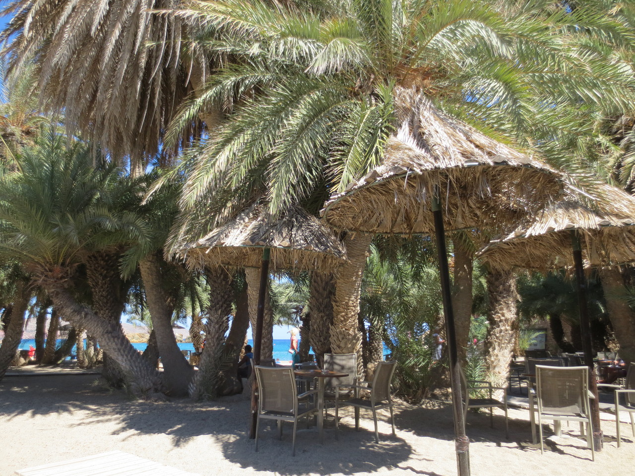 In der Nähe des nordöstlichsten Punktes der Insel Kreta: Vai.., der berühmte Palmenstrand von Kreta an der Bucht von Grandes (Ormos Grandes)