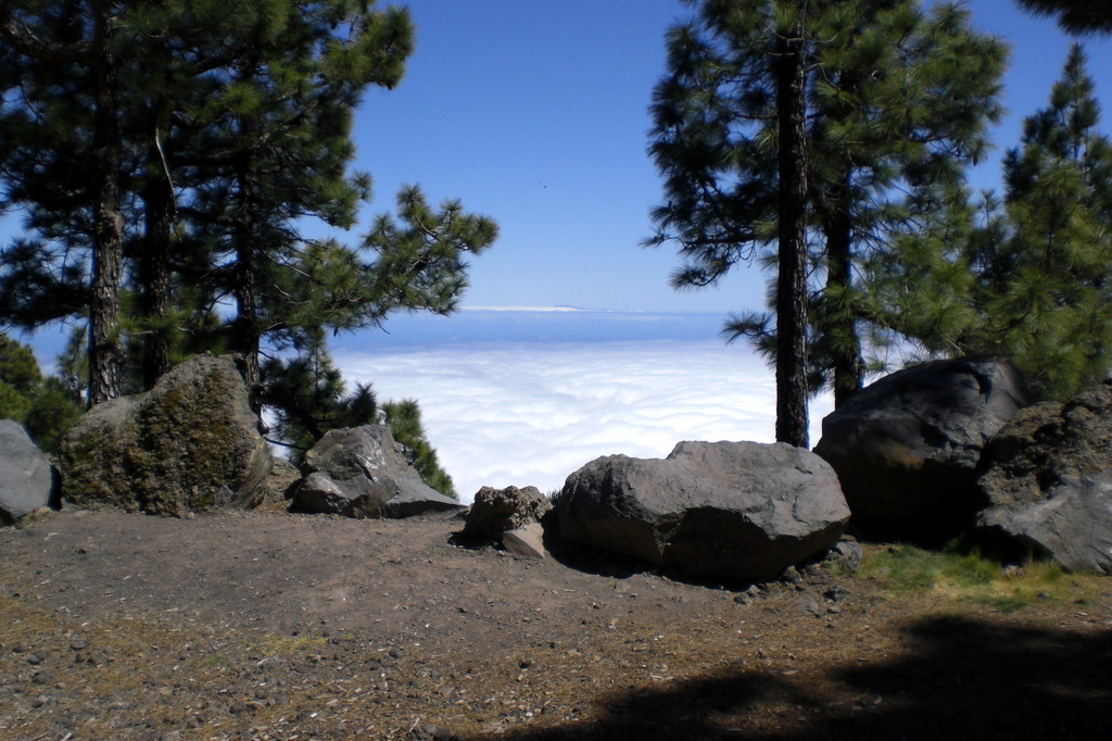 Abstieg von Caldera de Taburiente auf der nordöstlichen Seite; Blick Richtung Osten; hier etwa auf 2000 m. ü. M.