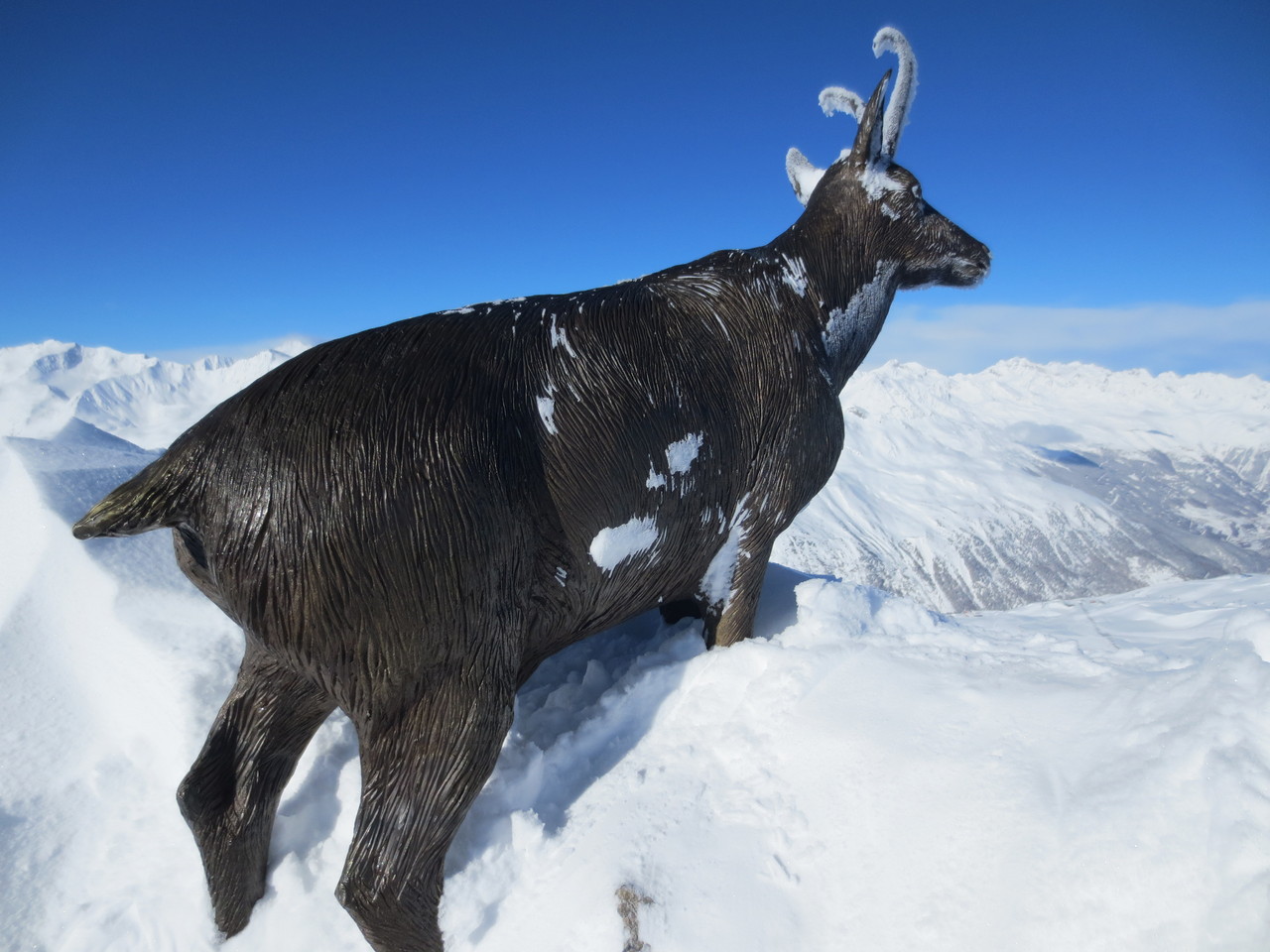 ..seltsame Begegnungen in eisiger Höhe (Aussichtsplattform Wurmkogl, ca. 3100 m ü M) 