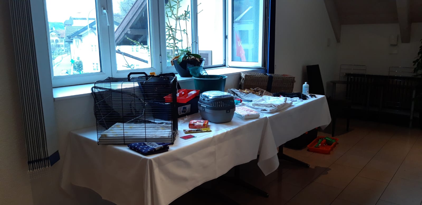 Ein grosser Teil der Fahrer-Ausrüstung 