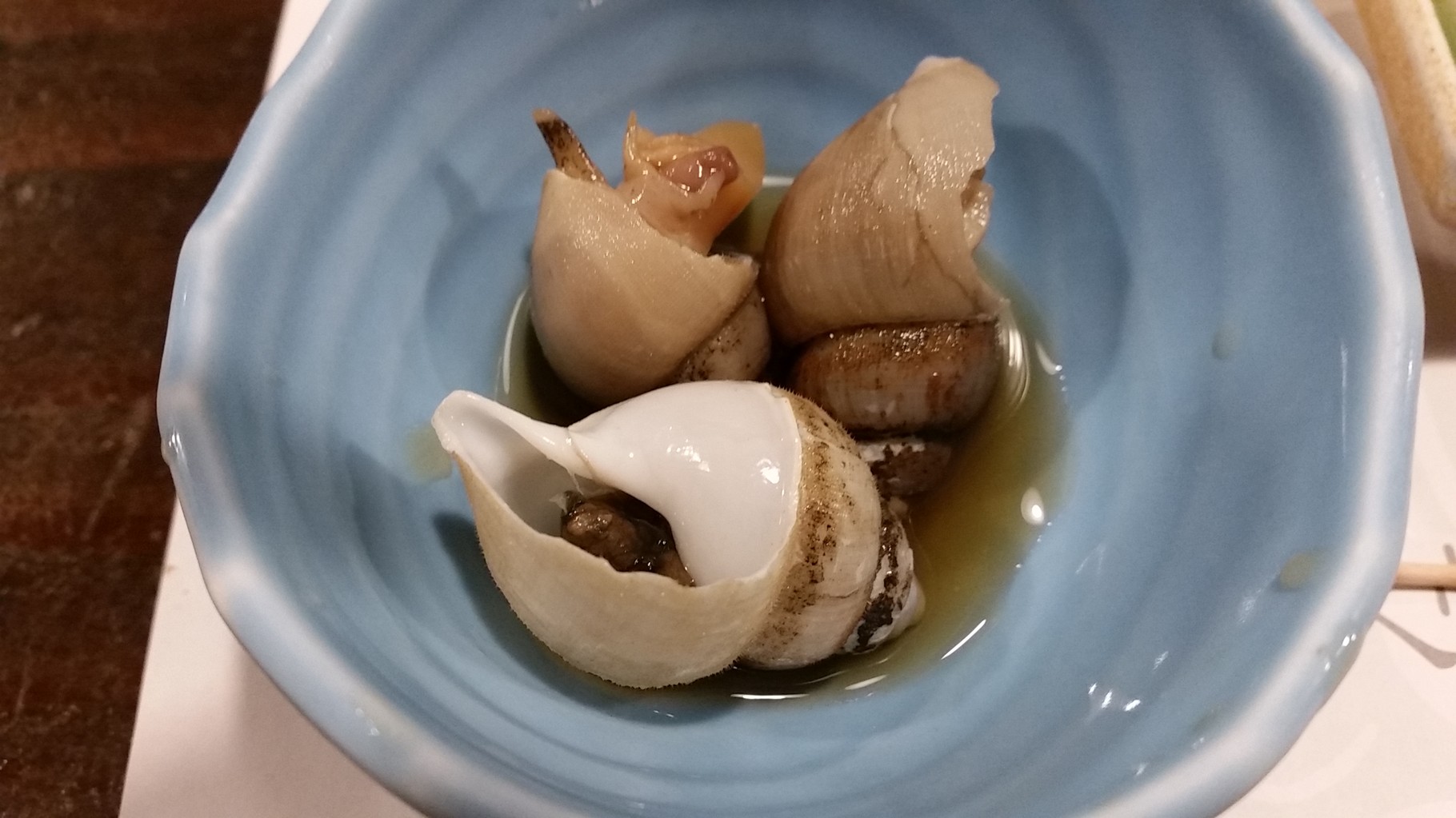 Coquillages pour commencer