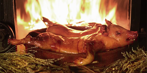 ¡En Segovia se come muy bien!