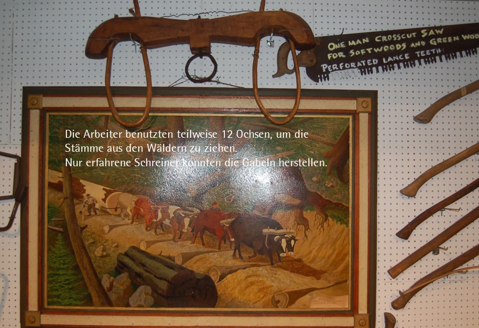 Die Arbeiter benutzten teilweise 12 Ochsen, um die Stämme aus den Wäldern zu ziehen. Nur erfahrene Schreiner konnten die Gabeln herstellen.
