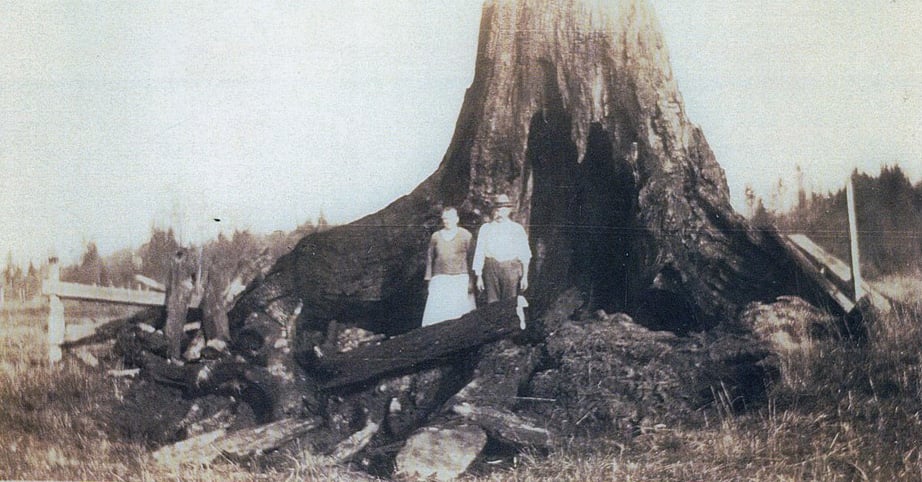 Anton und Rose Krätz beim Entfernen der Baumstümpfe auf ihrer Farm, 1920