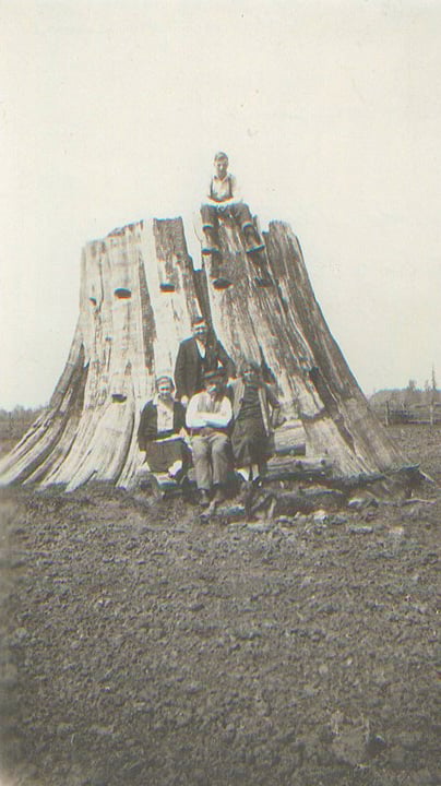 Das erste "Haus" von Max Eitzenberger - ein Zedern-Baumstumpf (Matilda Strotz, Ludwig Radner, Max Eitzenberger und Fredia Radner, Otto Eitzenberger oben, 1923)