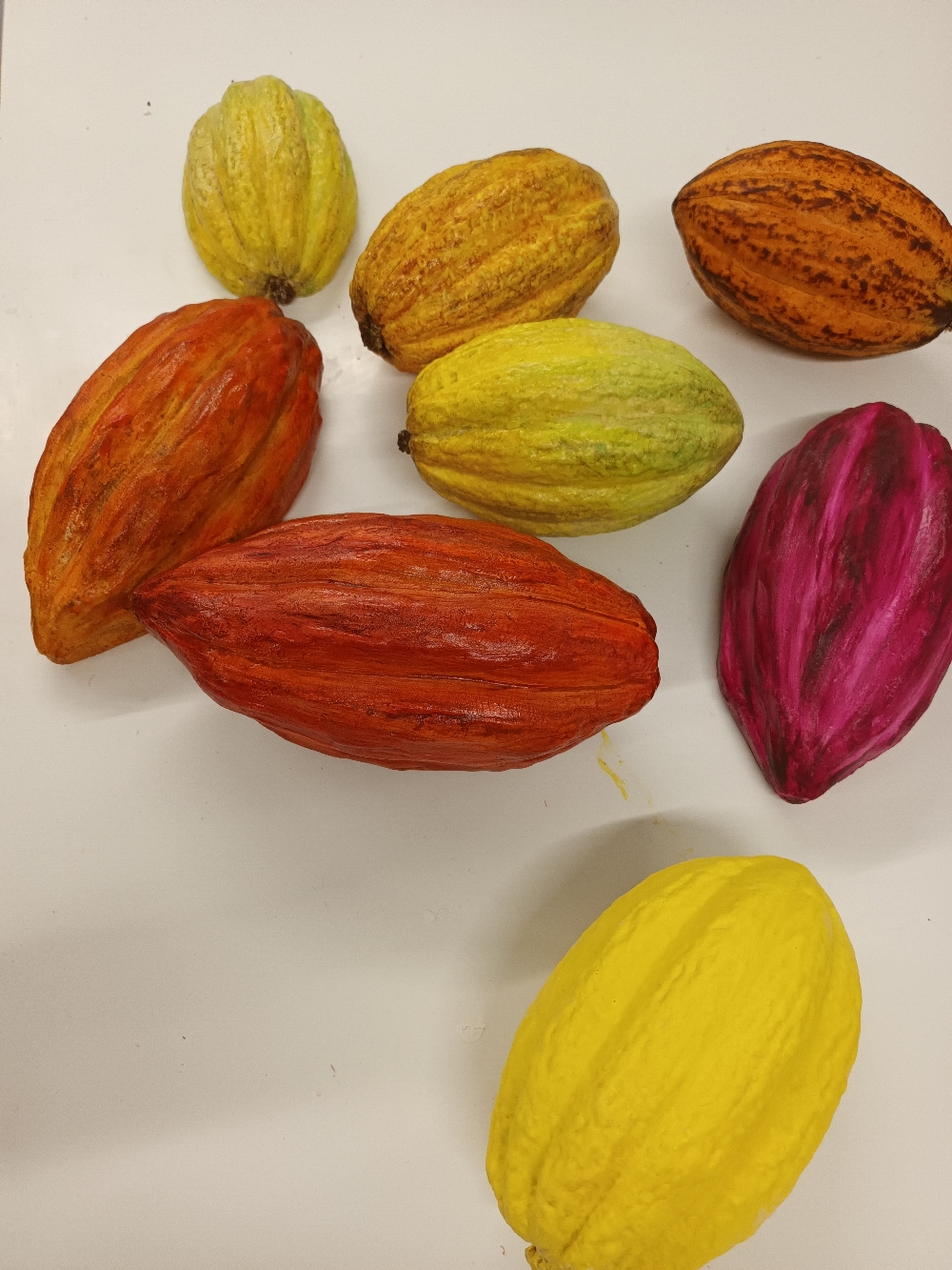 cabosses et demie cabosses de cacao décoratives 