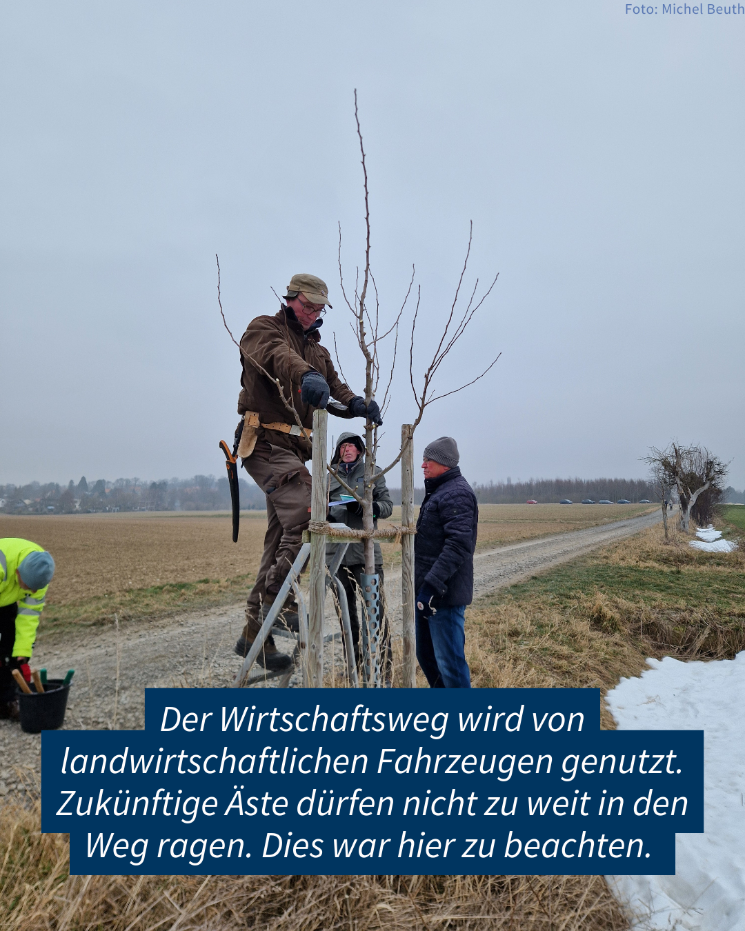 Örtliche Besonderheiten