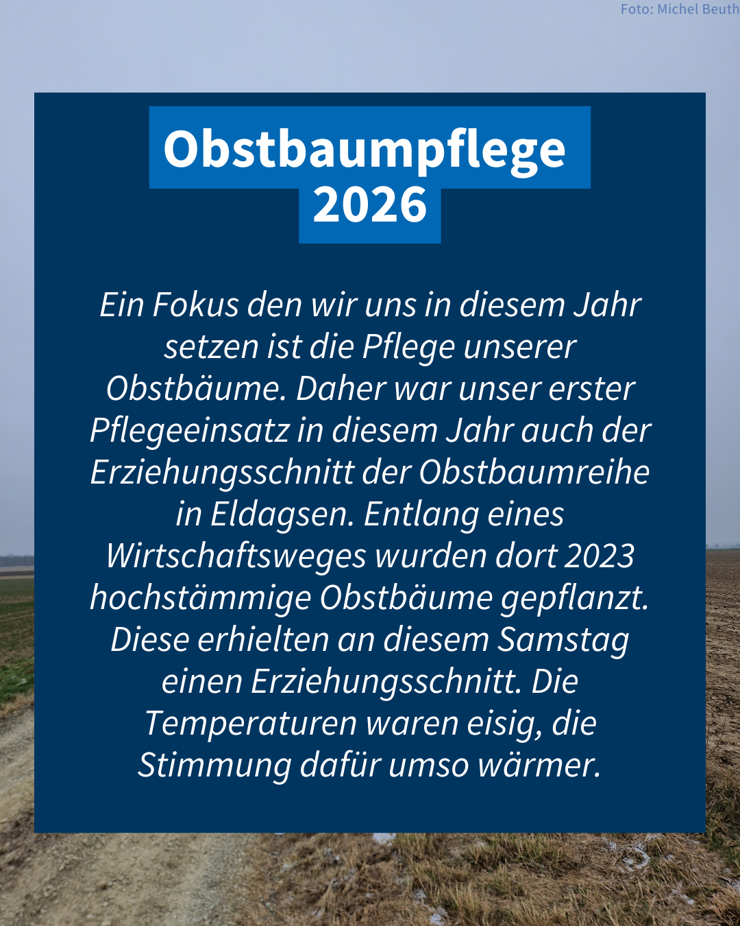 Obstbaumpflege 2026