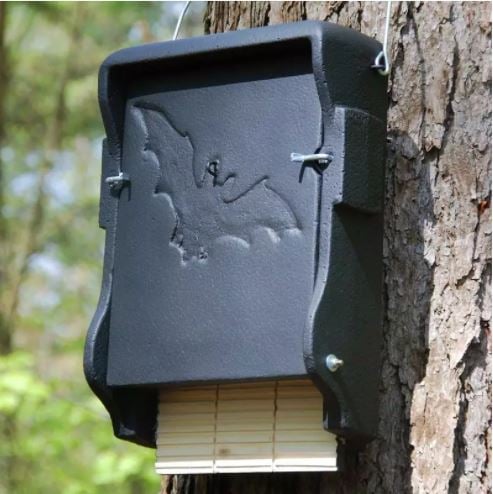 Rechteckiger Tonkasten mit Fledermauslogo an einem Baum