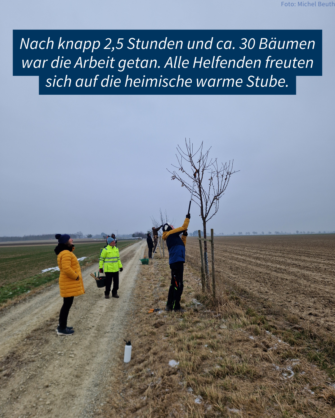 2,5 Stunden und 30 Bäume später