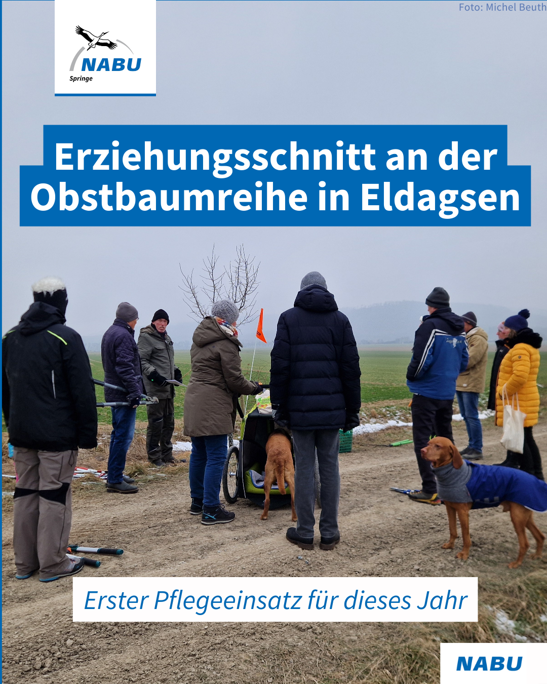 Helfende finden sich zusammen