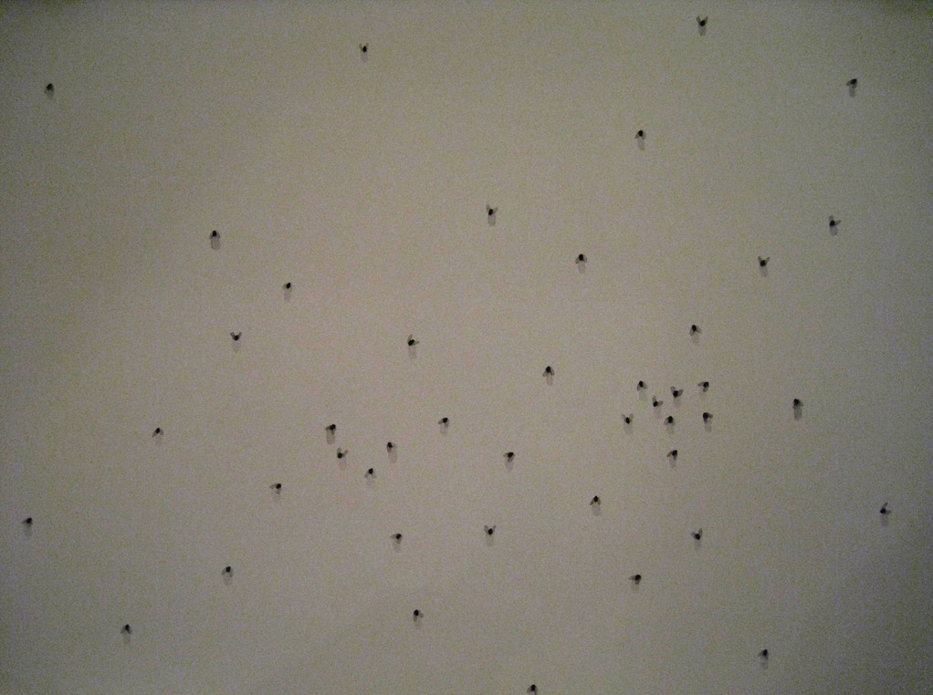 Pablo Fernández Pujol