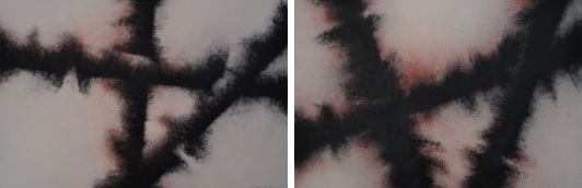 Antonio de Diego Arias