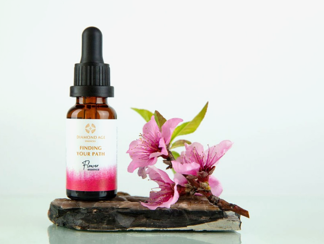 Griechische Pflanzenmedizin