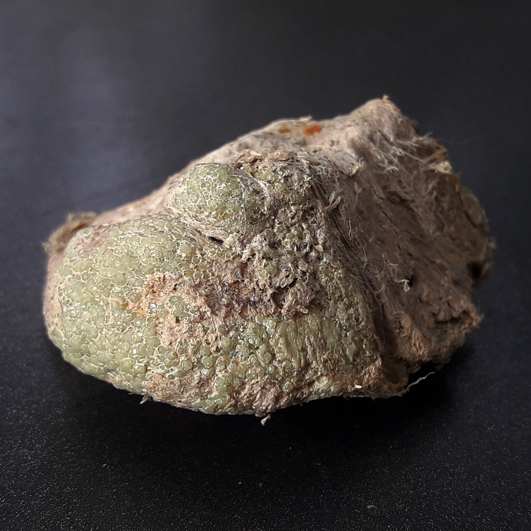 Demantoid Geisspfad Schweiz