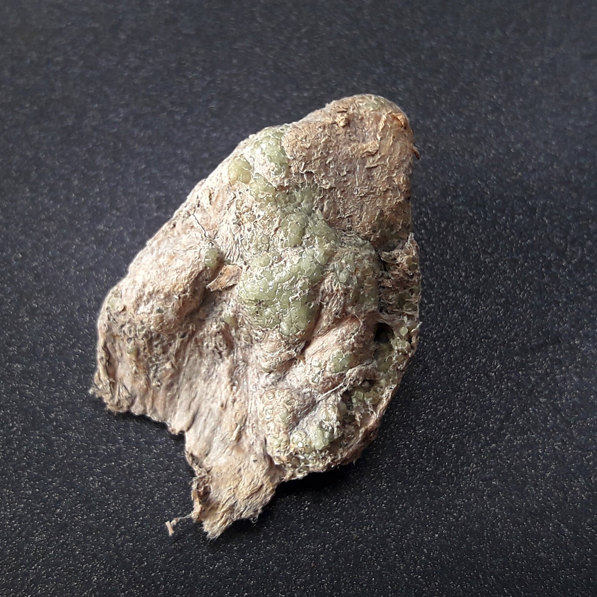 Demantoid Geisspfad Schweiz