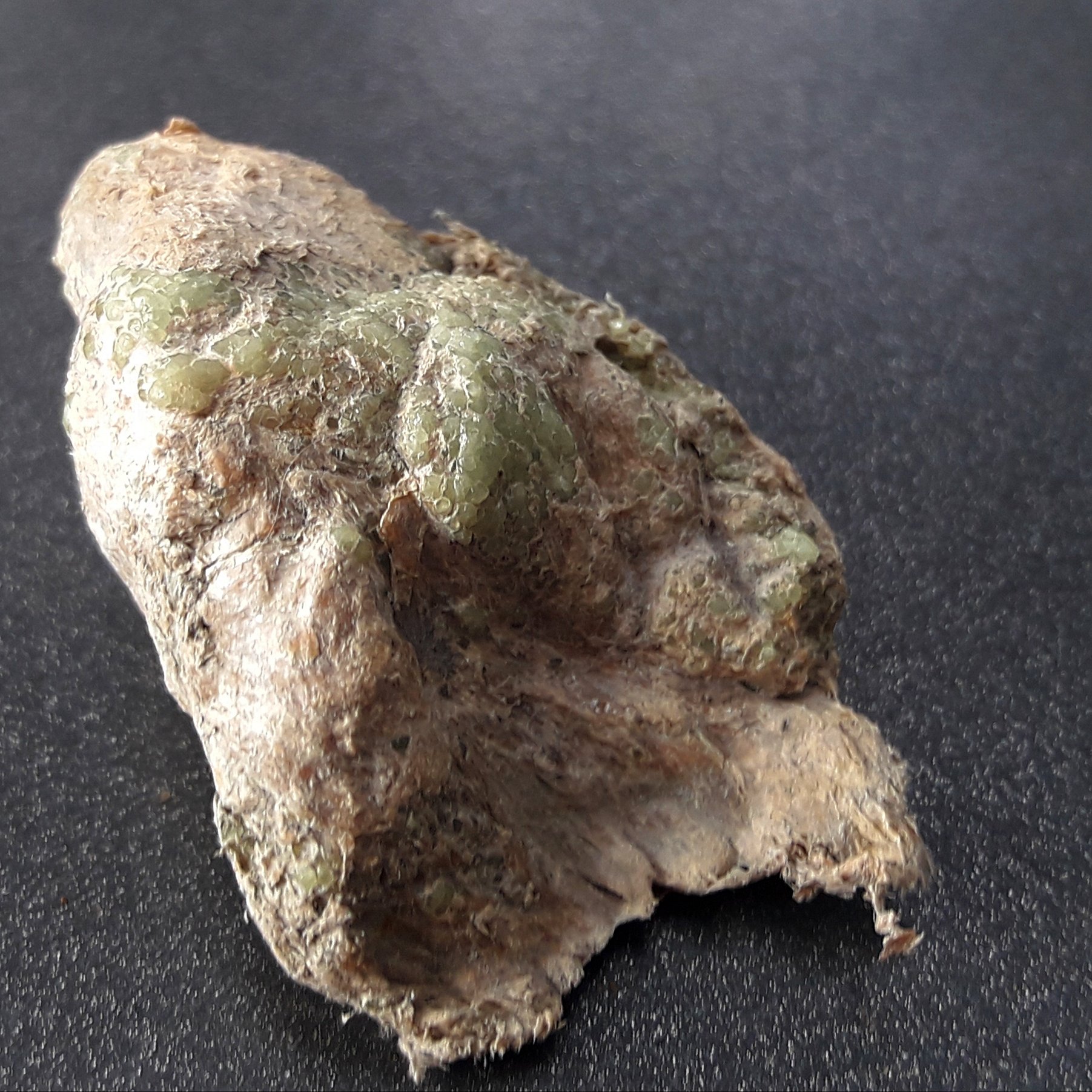 Demantoid Geisspfad Schweiz