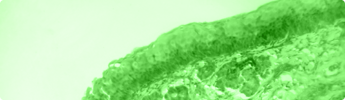 Mikroskopaufnahme Stimmungsbild