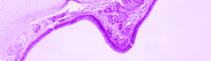 Mikroskopaufnahme Stimmungsbild