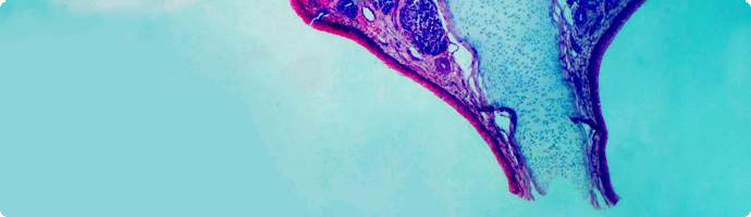 Mikroskopaufnahme Stimmungsbild