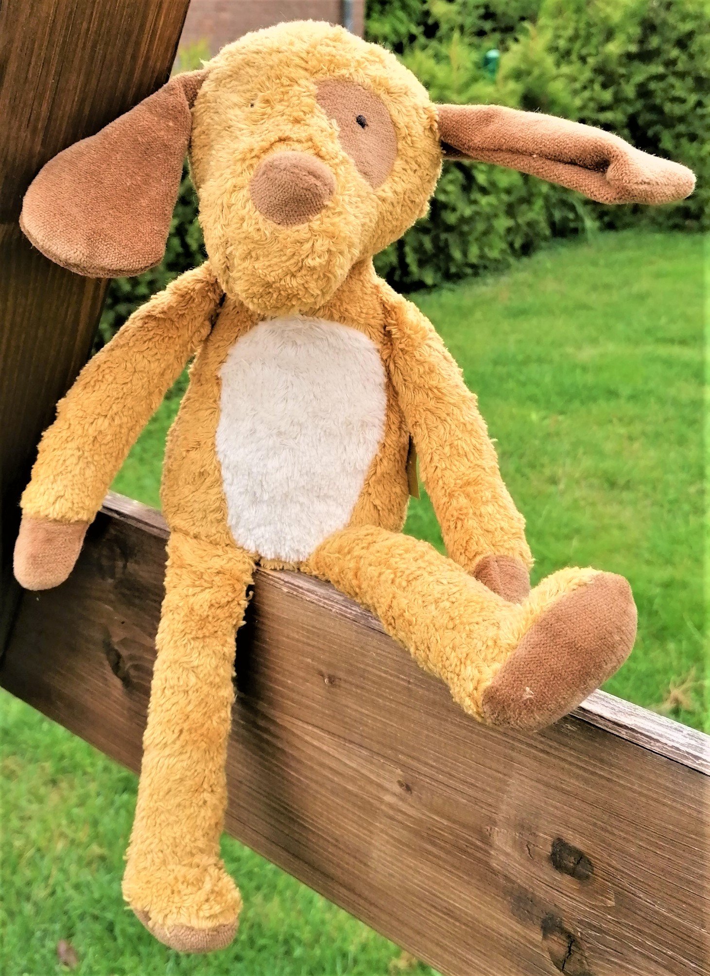 Klasse 2a - Klassenlehrerin Frau Prangemeier - Klassentier Hugo, der Hund