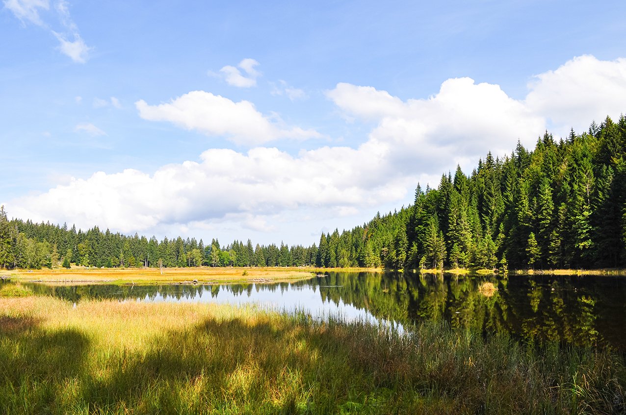Der kleine Arbersee im September!