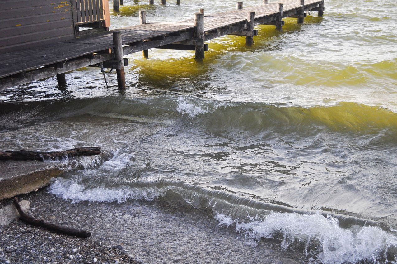 Stürmischer Frühling!