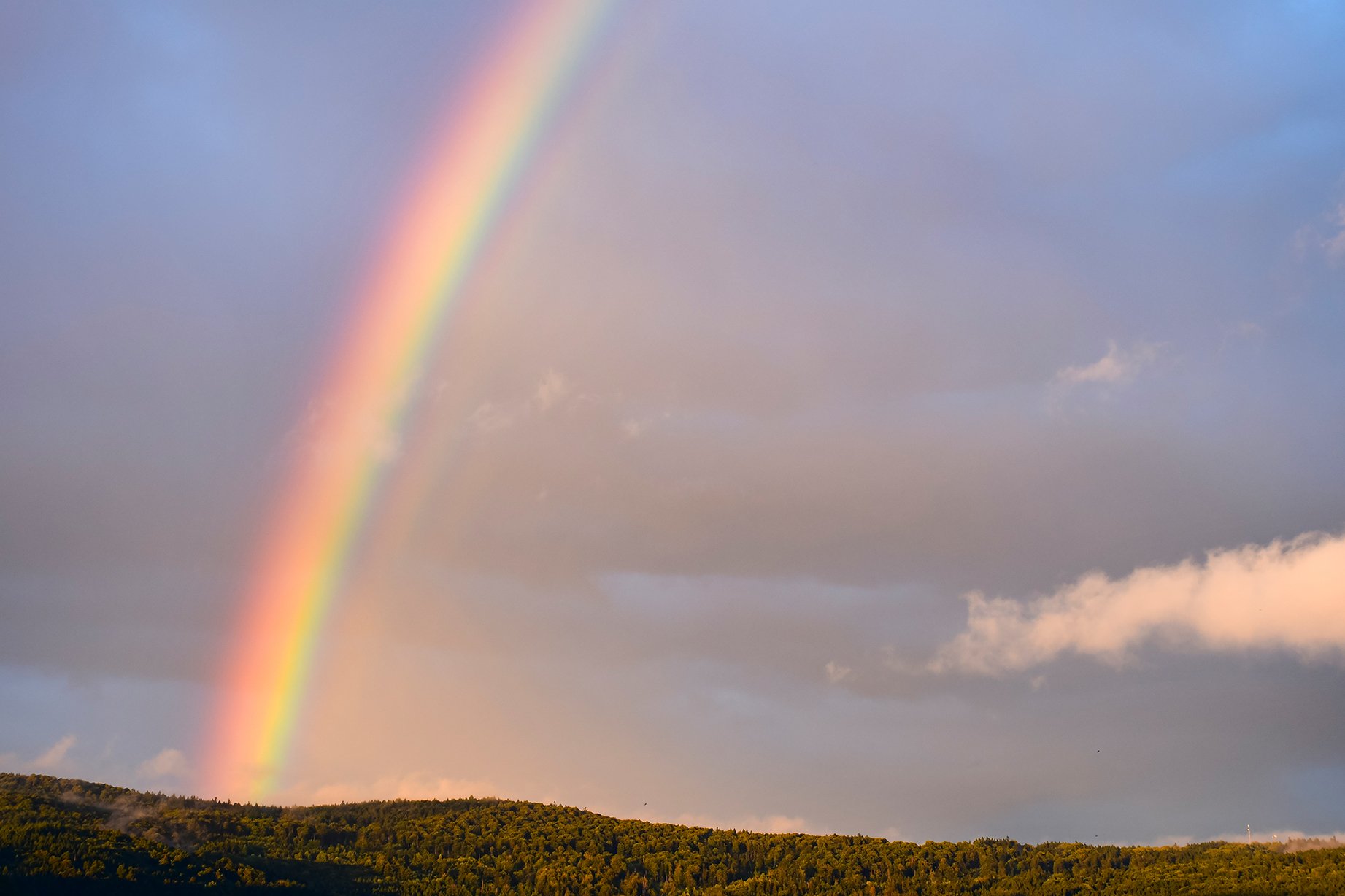 Regenbogen zur abendlichen Stunde!