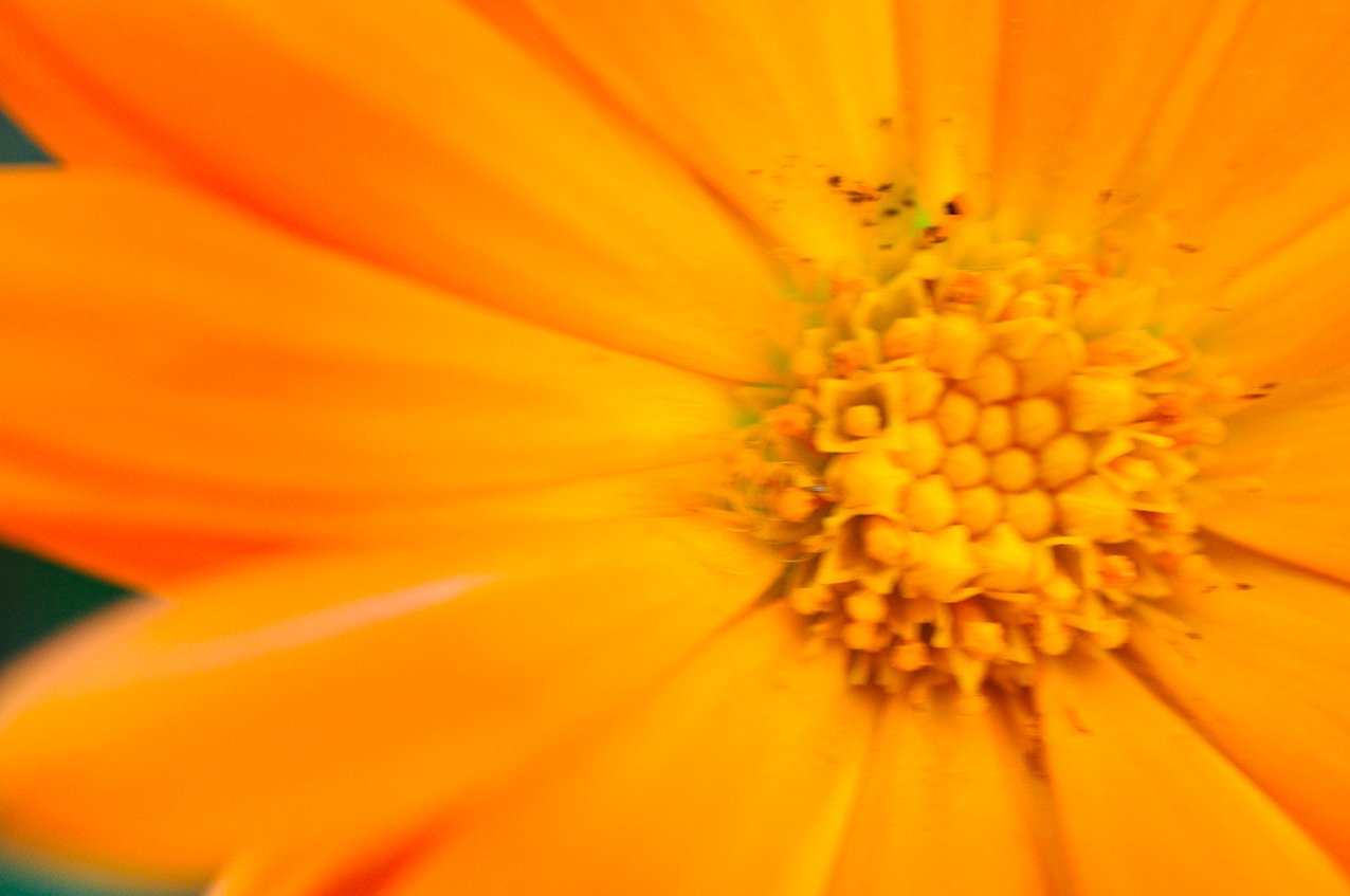 Die dritte Jahreszeit mit ihren Farben!