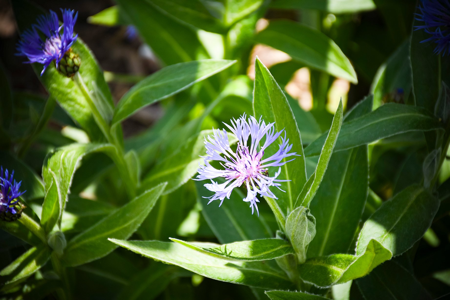 Rundgang durch Gleißenberg!