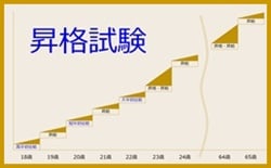 昇格試験