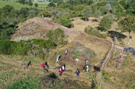 avant la fouille : le débroussaillage