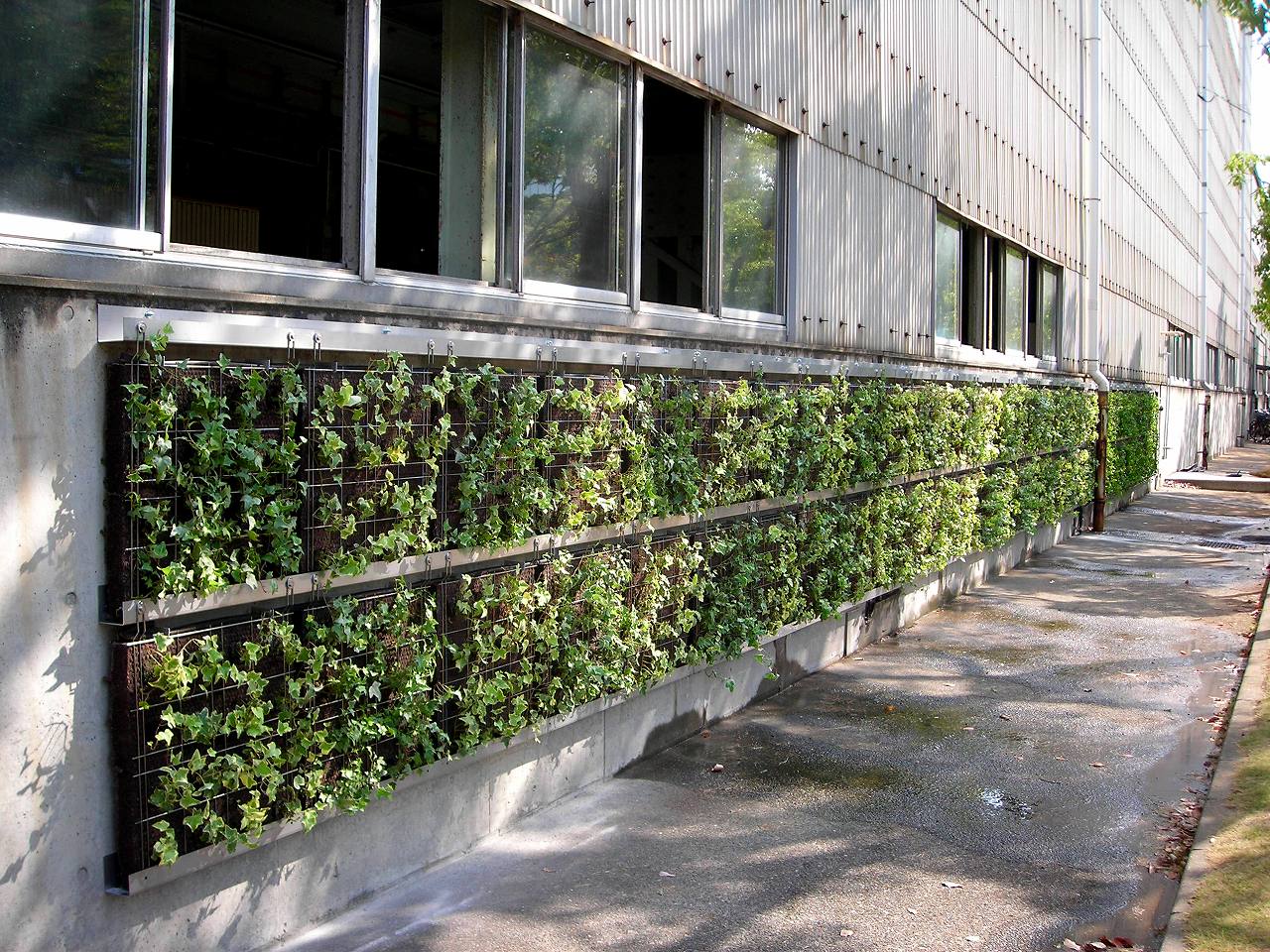 工場の壁面緑化