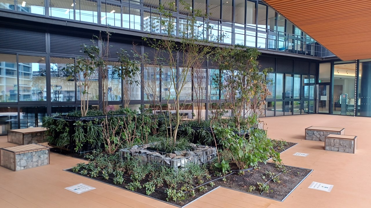 神戸市中央区役所屋上緑化