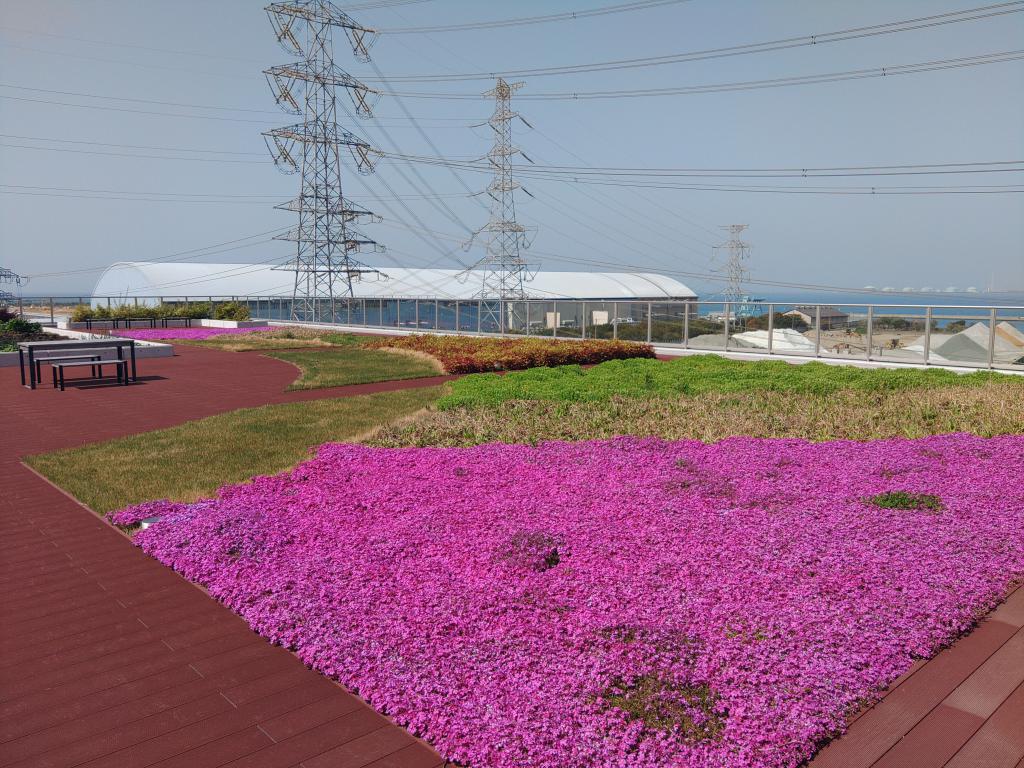 ごみ処理施設の屋上