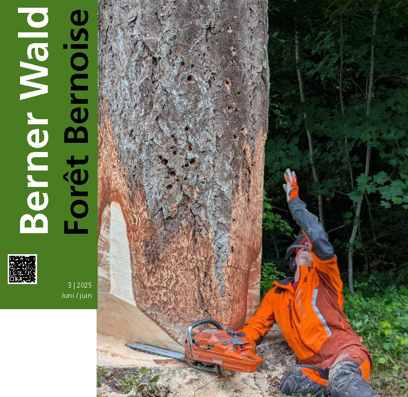 Eine Mitgliedschaft lohnt sich!