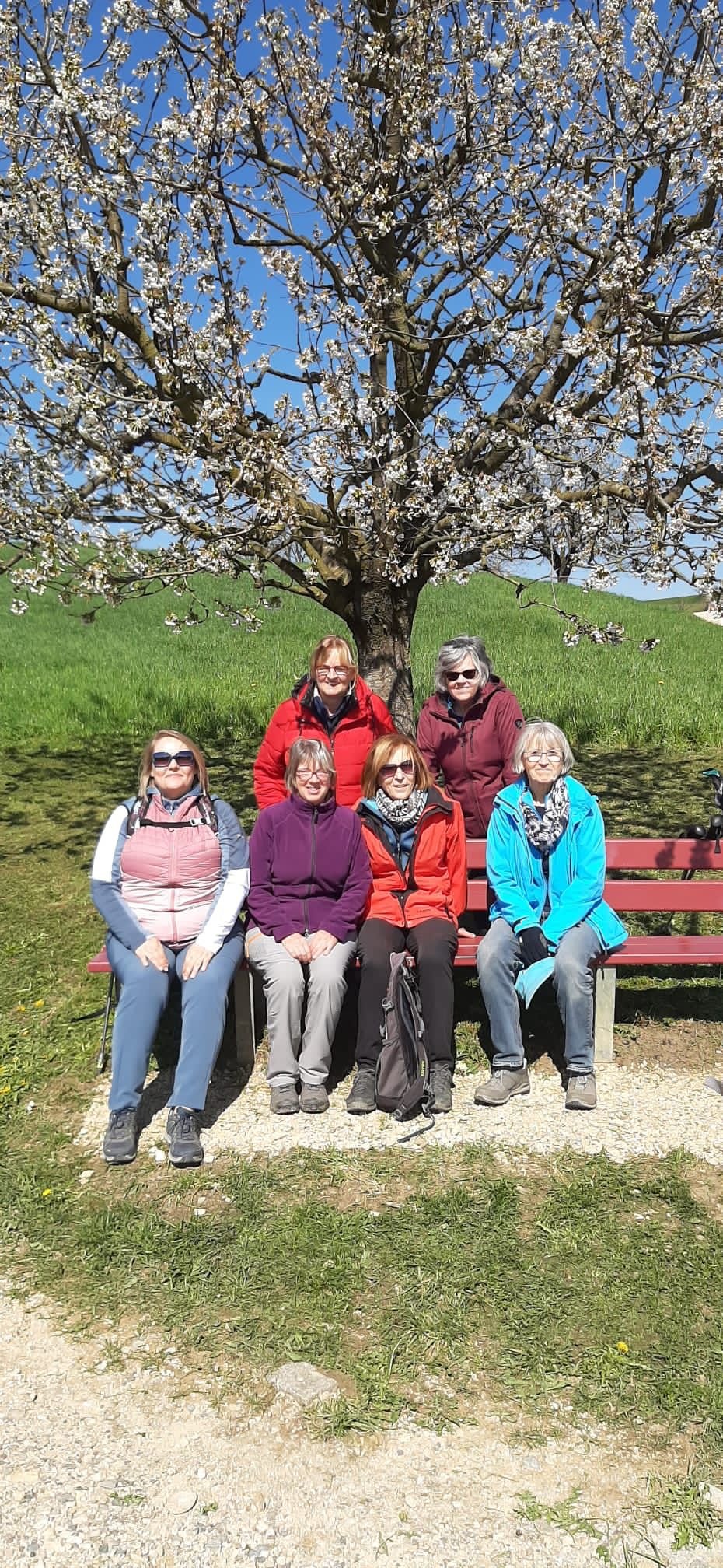 Freizeitgruppe auf dem Fricktaler Chriesiweg