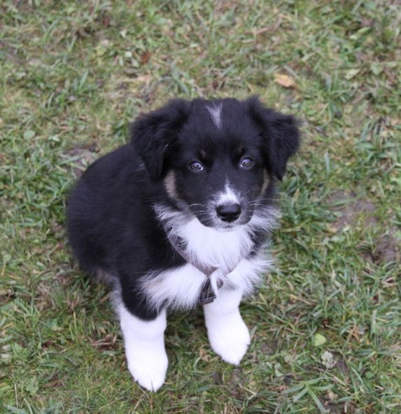 Wie doch die Zeit vergeht ....!