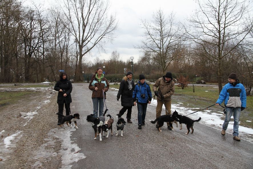 Andrea mit Ilvy, Karin mit Cyra, Amy und Aylin, Petra, Johannes, Markus mit Scotty und Elisabeth mit Abigail (v.li.)