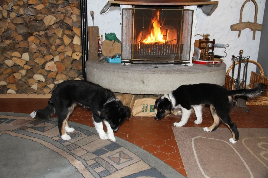 Amy und Aylin warten auf die Geschwister