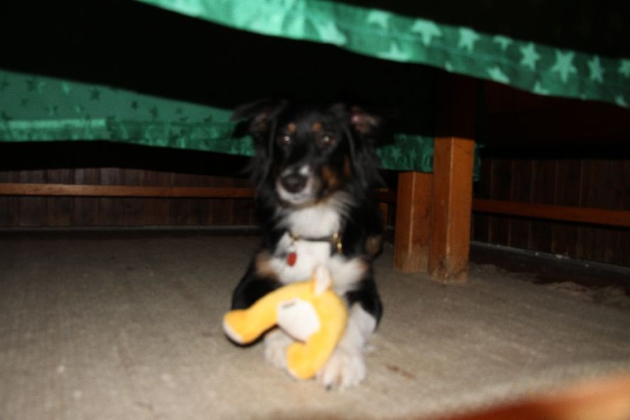 Cyra hat sich aber jetzt den Hasen gekrallt ;-).